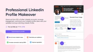 Dripify Analytics Driving Strategy